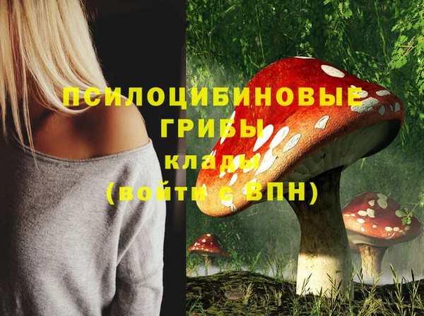 крисы Бородино