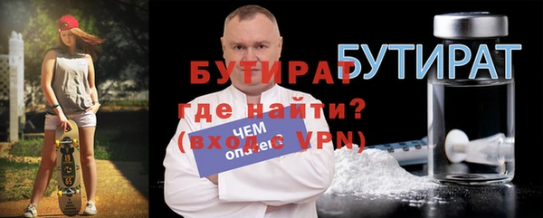 крисы Бородино