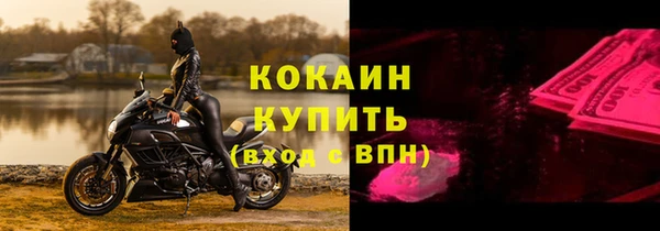 крисы Бородино