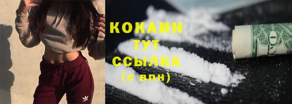 крисы Бородино