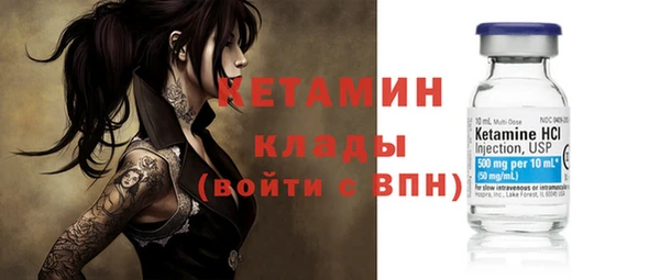 крисы Бородино