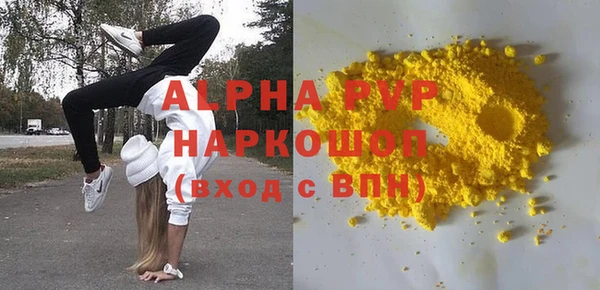 крисы Бородино