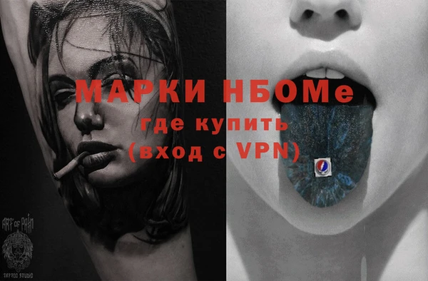 крисы Бородино