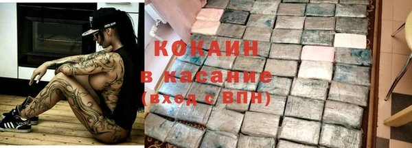 крисы Бородино