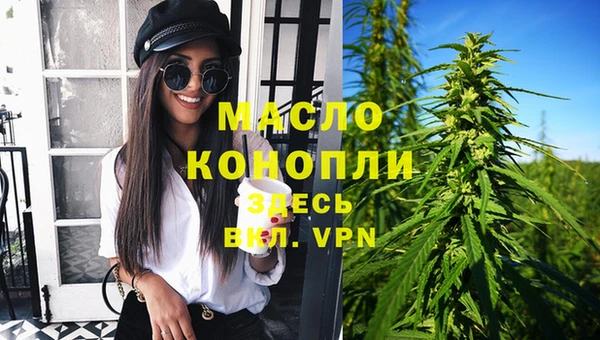 крисы Бородино