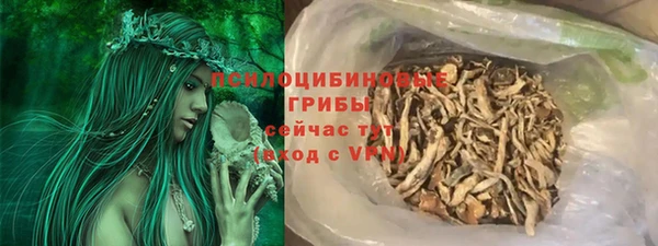 крисы Бородино