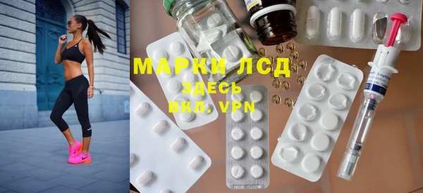 крисы Бородино